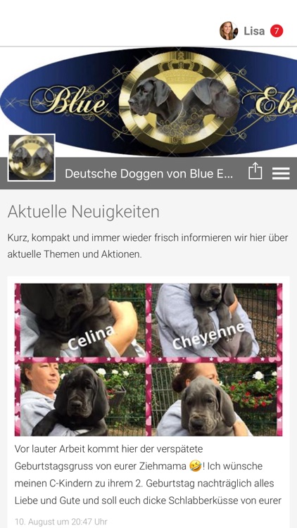 Deutsche Doggen von Blue Ebony