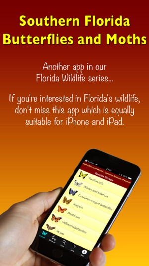 Southern Florida Butterflies(圖1)-速報App