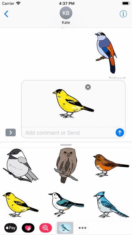 Tropical Bird Stickers