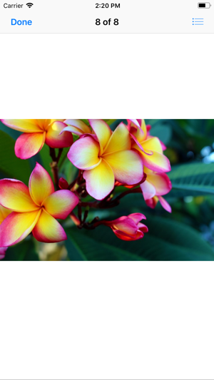 Plumeria Sticker Pack(圖9)-速報App