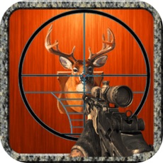 Activities of Forest Stag Hunt Master