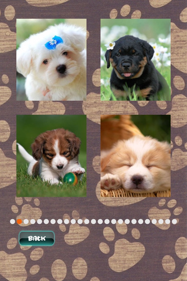 Cute Puppies Puzzle screenshot 4