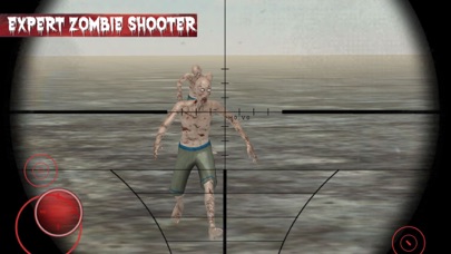 Expert Zombie Hunter screenshot 2