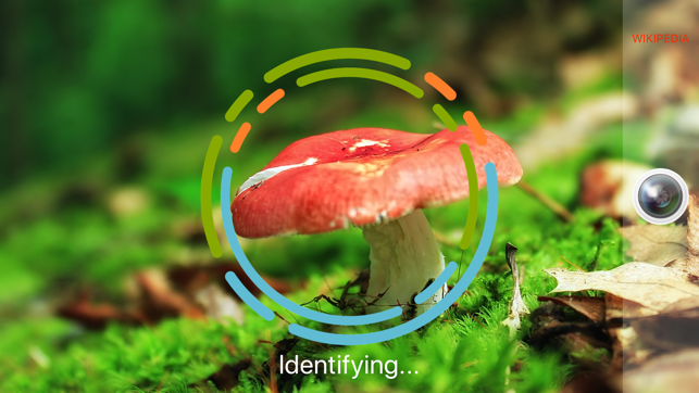 MushroomSnap - Mushroom ID Pro(圖3)-速報App