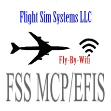 Activities of FSS MCP/EFIS
