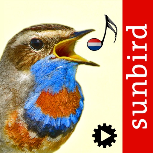 Bird Song Id Netherlands - Automatic Recognition
