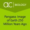 Earth 250 Million Years Ago