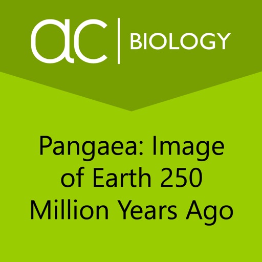 Earth 250 Million Years Ago icon