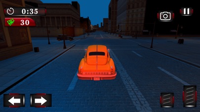 Mad Animal Russian Cars Taxi screenshot 2