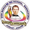 Don Bosco School Baghchung