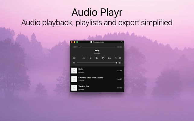 ‎Audio Playr Screenshot