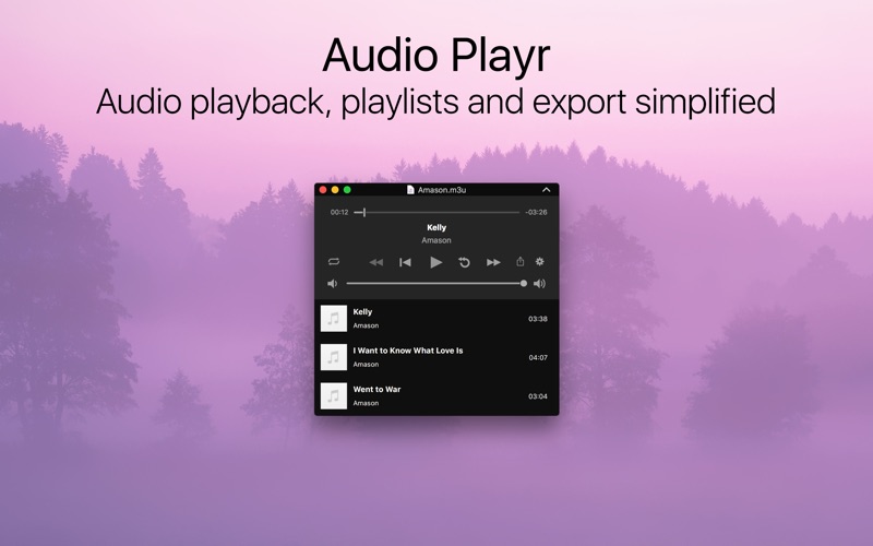 Audio Playr screenshot 1