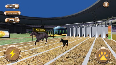 Greyhound Racing Tournament 2 screenshot 3