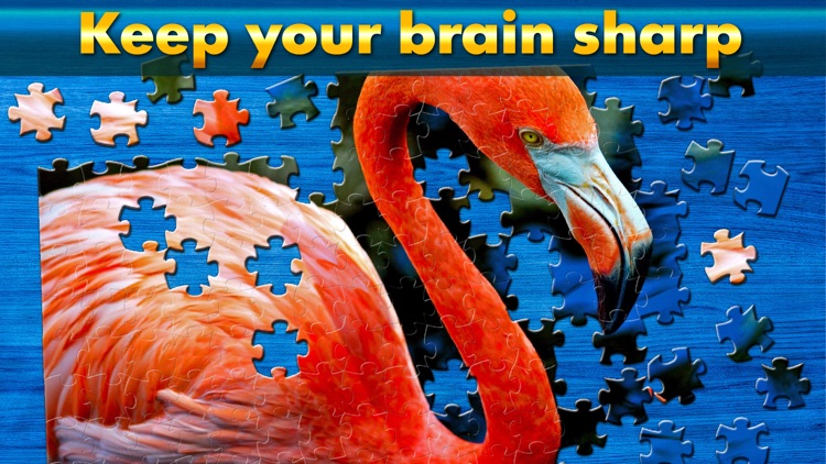 Cool Jigsaw Puzzle HD screenshot-4