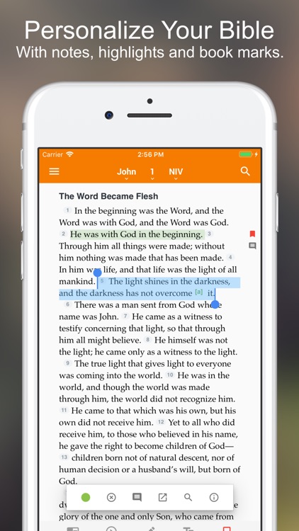 Amplified Bible
