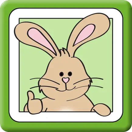 Riddle Rabbit™ K-1 Читы