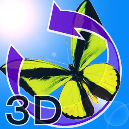 The 3D昆虫 II