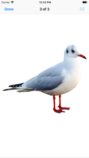 Seagull Stickers(圖6)-速報App