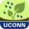 Rain gardens are depressions in the ground that collect rainwater from roofs, driveways, parking areas, or other hard surfaces, reducing the amount of polluted runoff entering local waterways