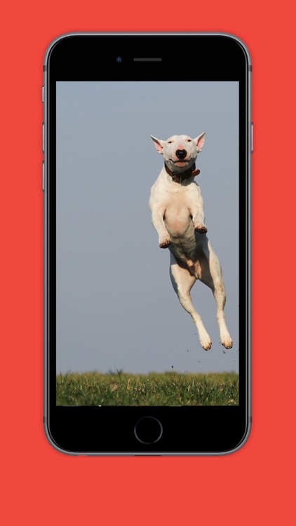 Lightning Lens - Burst Mode Camera