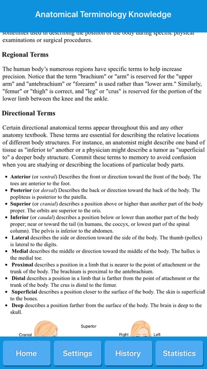 Anatomical Terminology