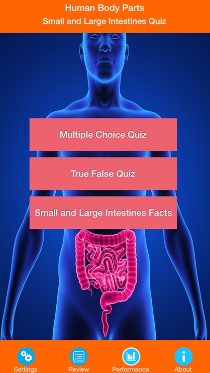 Body Parts : Small and Large Intestines Quiz