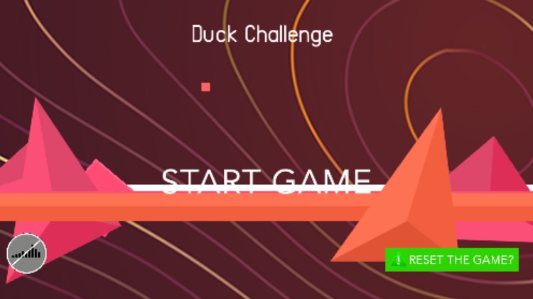 Duck Challenge