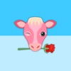 Cupids Valentines Day Cow