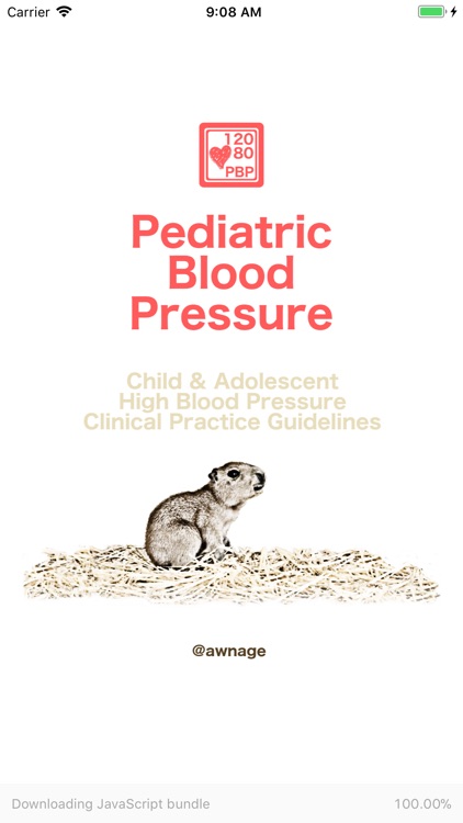 Pediatric Blood Pressure Guide