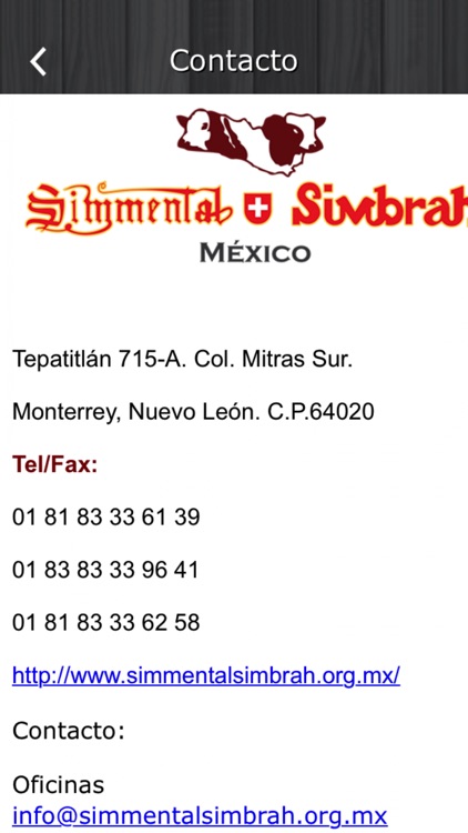 Simmental Simbrah Mexico