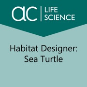 Habitat Designer Sea Turtle