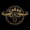 Team Coban