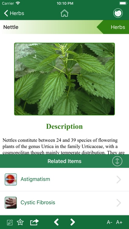 Natural Healing Herbs screenshot-3