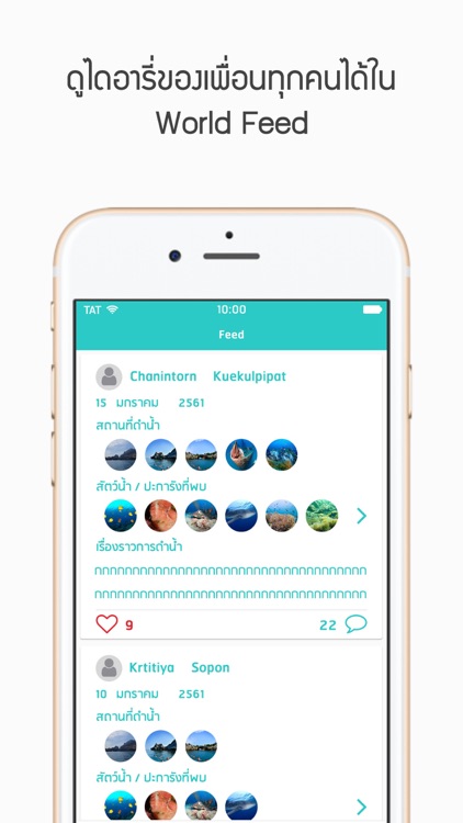 Chumphon Undersea Experience