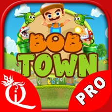 Activities of Bob Town PRO