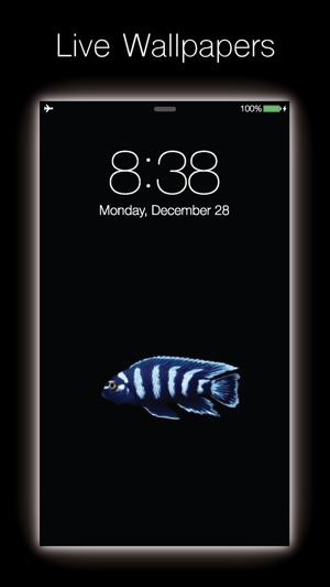 Live Fish - Live Wallpapers for Fish with Black BG(圖5)-速報App