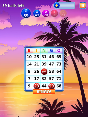 Bingo - On the Go! screenshot 2