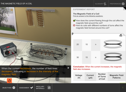 The Magnetic Field of a Coil screenshot 2