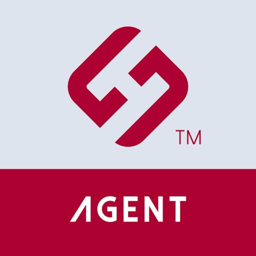 HS Agent