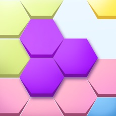 Activities of Block Puzzle-Hexa game