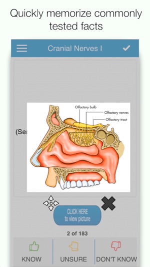 COMLEX Anatomy Cram Cards