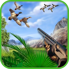 Activities of Duck Hunting 3D: Fowl Hunting