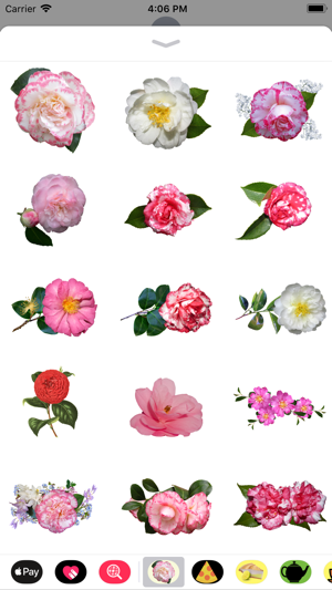 Camelia Sticker Pack