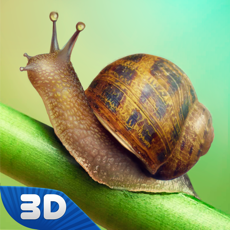 Activities of Snail Wild Life Simulator 3D