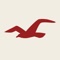 Hollister believes in liberating the spirit of an endless Summer inside everyone