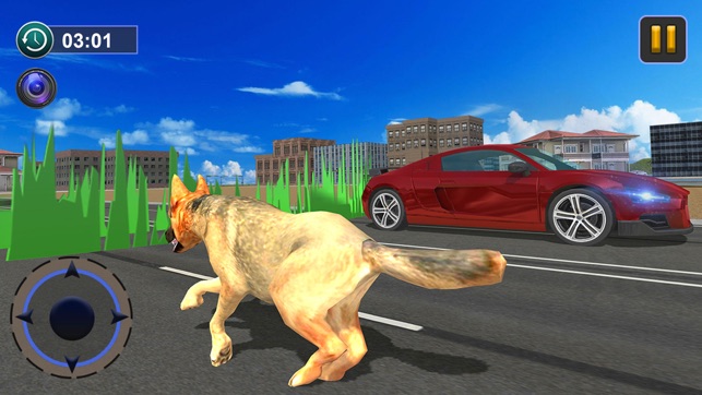 Dog Race & Stunts Wash Thru(圖5)-速報App