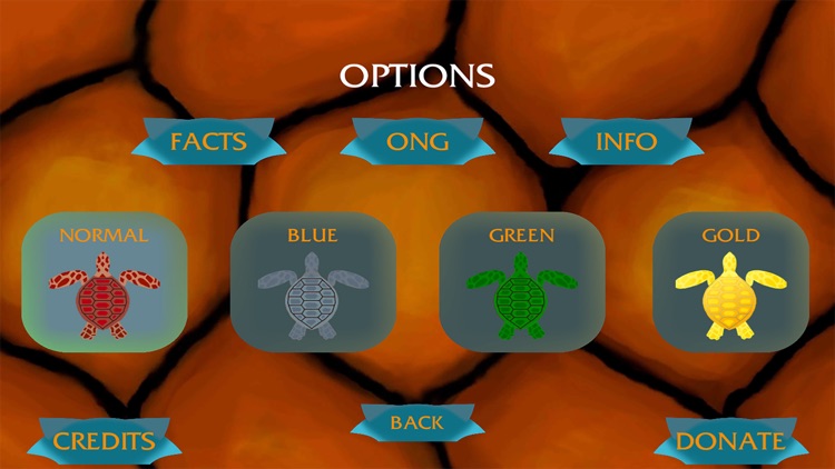 Turtle Ranger screenshot-5