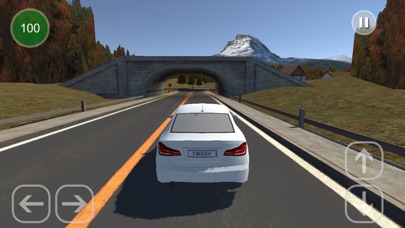 Town Driving screenshot 2