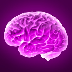 Activities of Genius Brain