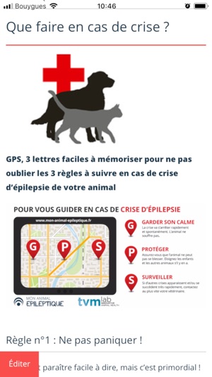 Epilepsie du chien et du chat(圖4)-速報App